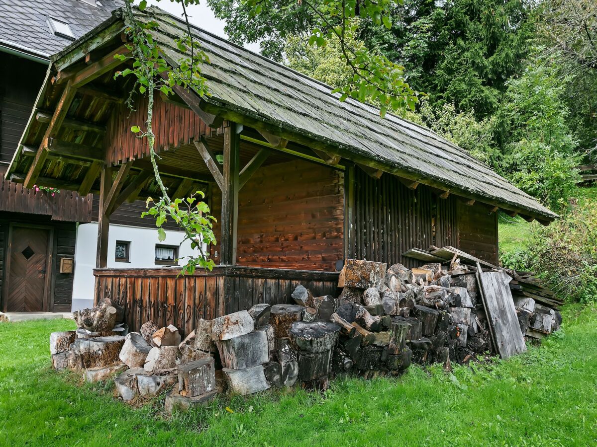 Apartment Chalet in Arriach nahe Gerlitzen Alpe - Outdoor photo 3