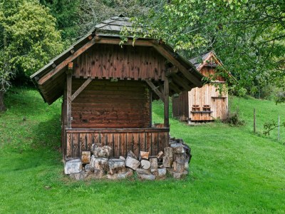 Apartment Chalet in Arriach nahe Gerlitzen Alpe - Outdoor photo 8