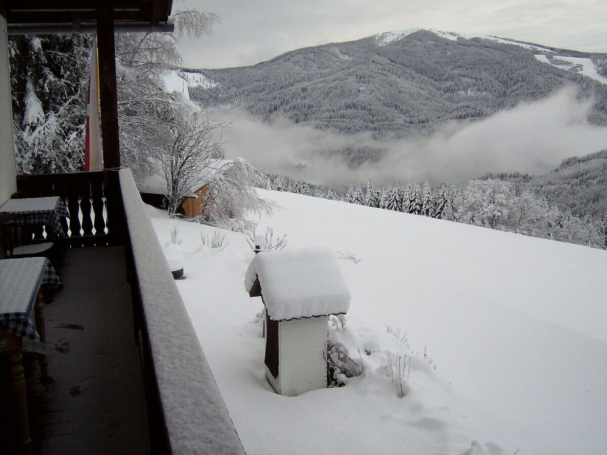 Holiday house Holiday home in Arriach near Lake Ossiach - Outdoor photo 3