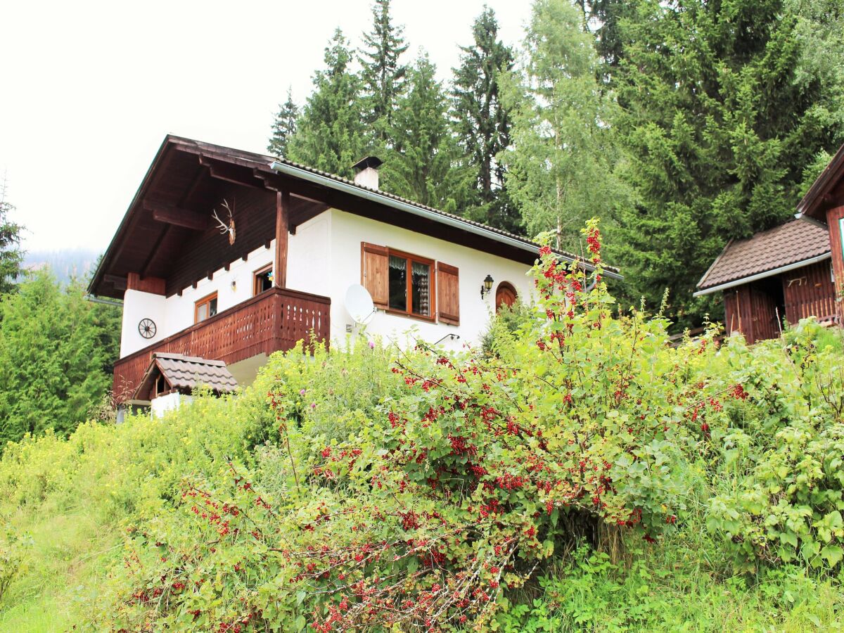 Holiday house Holiday home in Arriach near Lake Ossiach - Outdoor photo 5