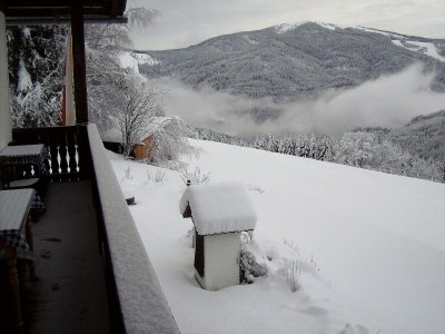 Holiday house Holiday home in Arriach near Lake Ossiach - Outdoor photo 3