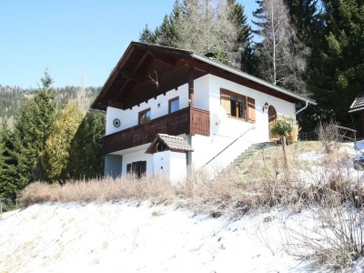 Holiday house Holiday home in Arriach near Lake Ossiach - Outdoor photo 12