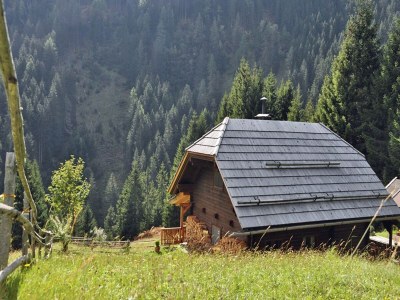 Chalet Chalet in Kolbnitz nahe Skipisten - Outdoor photo 7