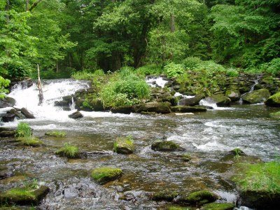Holiday apartment Holiday flat Sunhill in Bavaria - Environment photo 24