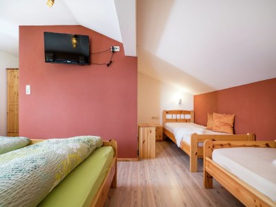 Apartment Apartment Leogang near Ski Slopes - Features photo 20