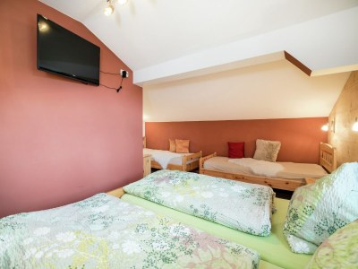 Apartment Apartment Leogang near Ski Slopes - Features photo 23