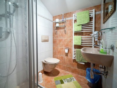 Apartment Apartment Leogang near Ski Slopes - Features photo 26