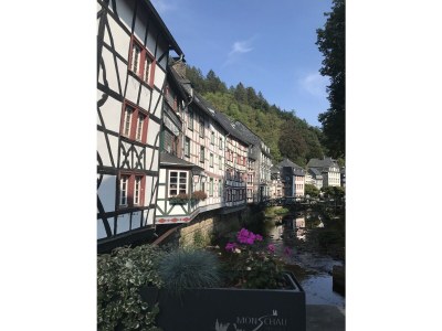 Holiday house Eifelhaus4you - Environment photo 30