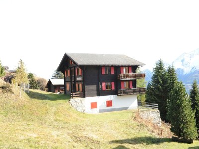 Apartment Spacious Apartment in Riederalp near Ski Trail in Filet - Apartment