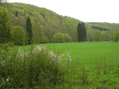 Holiday house Naturaufenthalt in Dankerode - Environment photo 29