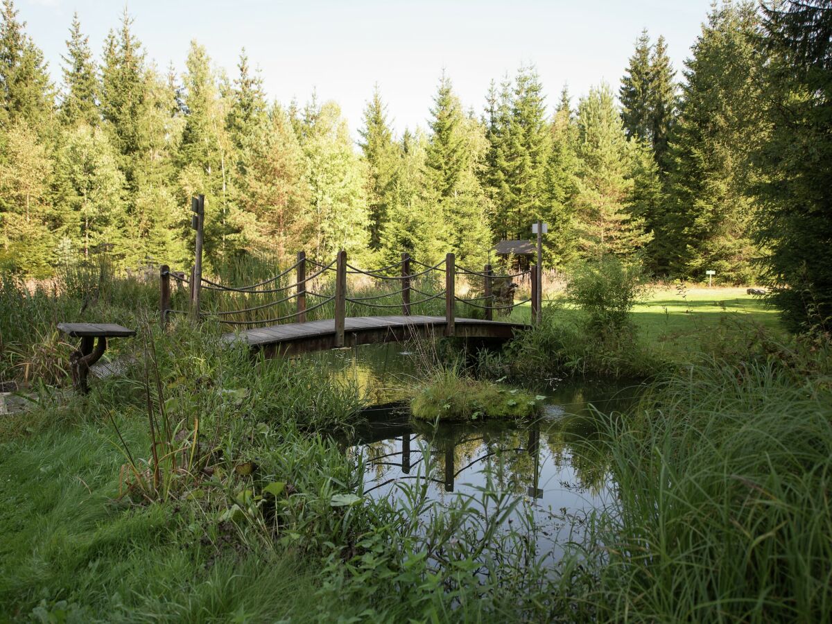Holiday house Forest Retreat in Jägersgrün