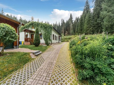 Holiday house Forest Retreat in Jägersgrün - Outdoor photo 8