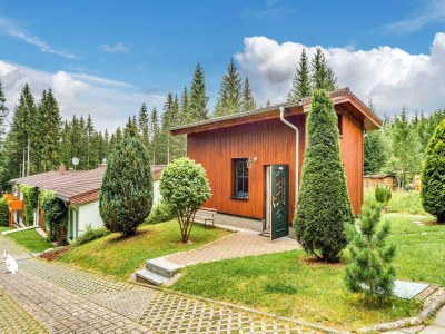 Holiday house Peaceful Stay in Jägersgrün - Outdoor photo 9