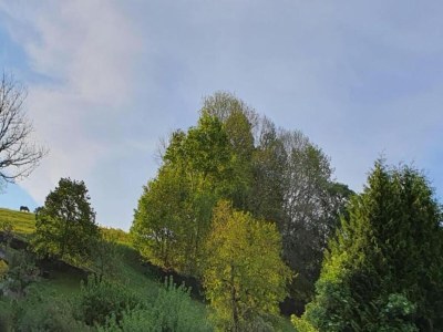 Villa Mountain Bliss in Borstendorf - Environment photo 32