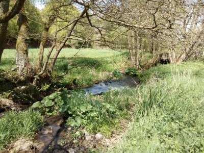 Apartment Landhaus nahe Sababurg Schloss - Environment photo 19