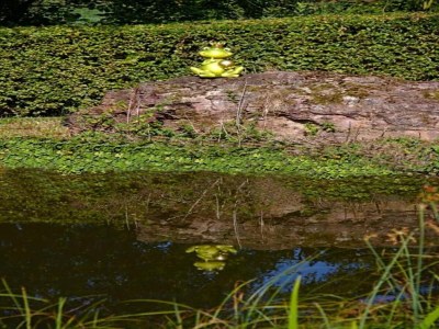 Apartment Landhaus nahe Sababurg Schloss - Environment photo 33