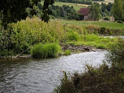 Apartment Landhaus in Reinhardswald bei Sababurg - Environment photo 28