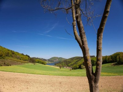 Apartment Wohnung im Sauerland mit Terrasse - Environment photo 15