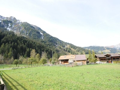 Apartment Chalet in Lenk nahe Simmenfälle - Outdoor photo 7