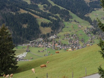 Apartment Chalet in Lenk nahe Simmenfälle - Environment photo 26