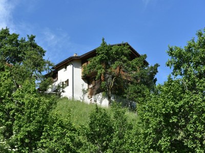 Holiday house Cozy Stay near Aletsch - Outdoor photo 6