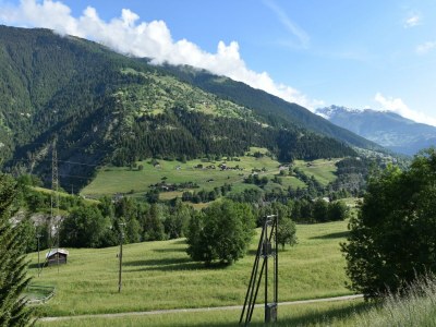 Holiday house Cozy Stay near Aletsch - Outdoor photo 7