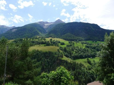 Holiday house Cozy Stay near Aletsch - Environment photo 24