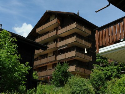 Apartment Family Stay in Aletsch Alps - Outdoor photo 2