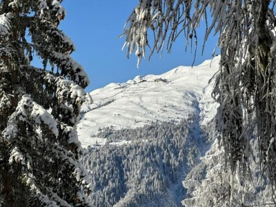 Apartment Family Stay in Aletsch Alps - Environment photo 25