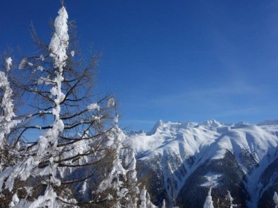 Apartment Family Stay in Aletsch Alps - Environment photo 27