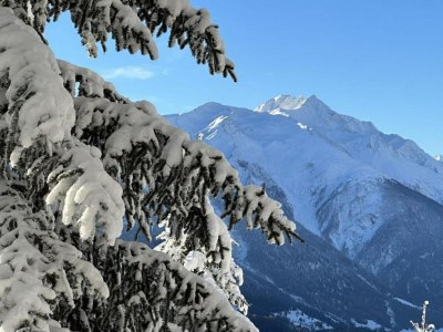 Apartment Family Stay in Aletsch Alps - Environment photo 29