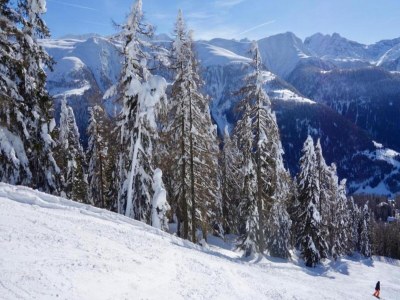 Apartment Family Stay in Aletsch Alps - Environment photo 42
