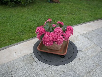 Apartment Gruppenausflug nach Sebnitz - Outdoor photo 38