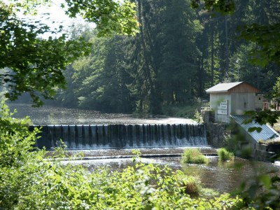 Holiday house Erholsamer Familienurlaub in Oederan - Environment photo 29