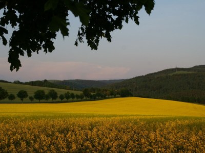 Holiday house Ferienhaus in Rechenberg-Bienemuehle - Environment photo 18