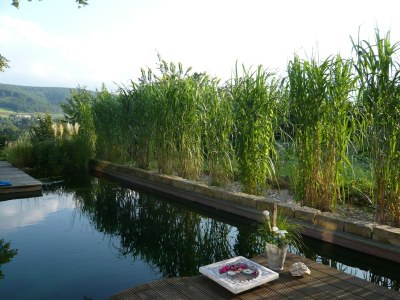 Apartment Ferienwohnung Wintergarten in Bad Pyrmont - Outdoor photo 15