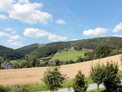 Apartment Wohnung in Willingen am Ettelsberg Skilift - Environment photo 29