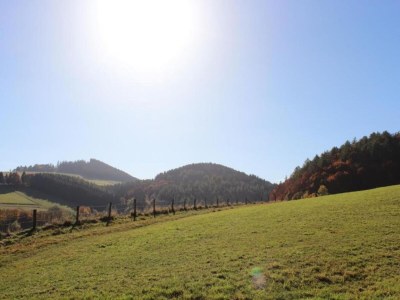 Apartment Moderne Ferienwohnung am Wald in Schwalefeld - Environment photo 27