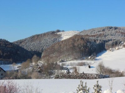 Apartment Moderne Ferienwohnung am Wald in Schwalefeld - Environment photo 32