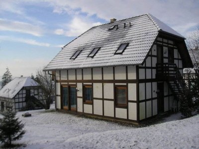 Holiday house Chalet in Frankenau nahe Skipisten & Edersee - Outdoor photo 6