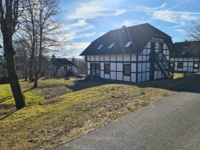 Holiday house Chalet in Frankenau nahe Skipisten & Edersee - Outdoor photo 11