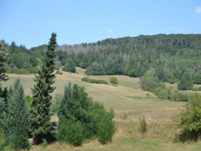 Holiday house Chalet in Frankenau nahe Skipisten & Edersee - Environment photo 33