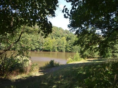 Holiday house Chalet in Frankenau nahe Skipisten & Edersee - Environment photo 38
