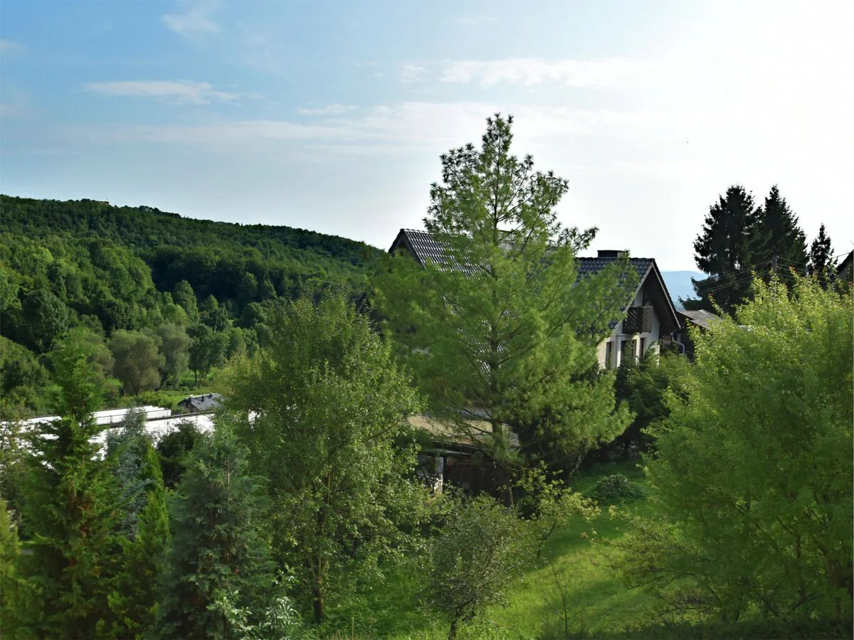 Apartment holiday home in the Thuringian Forest with roof
