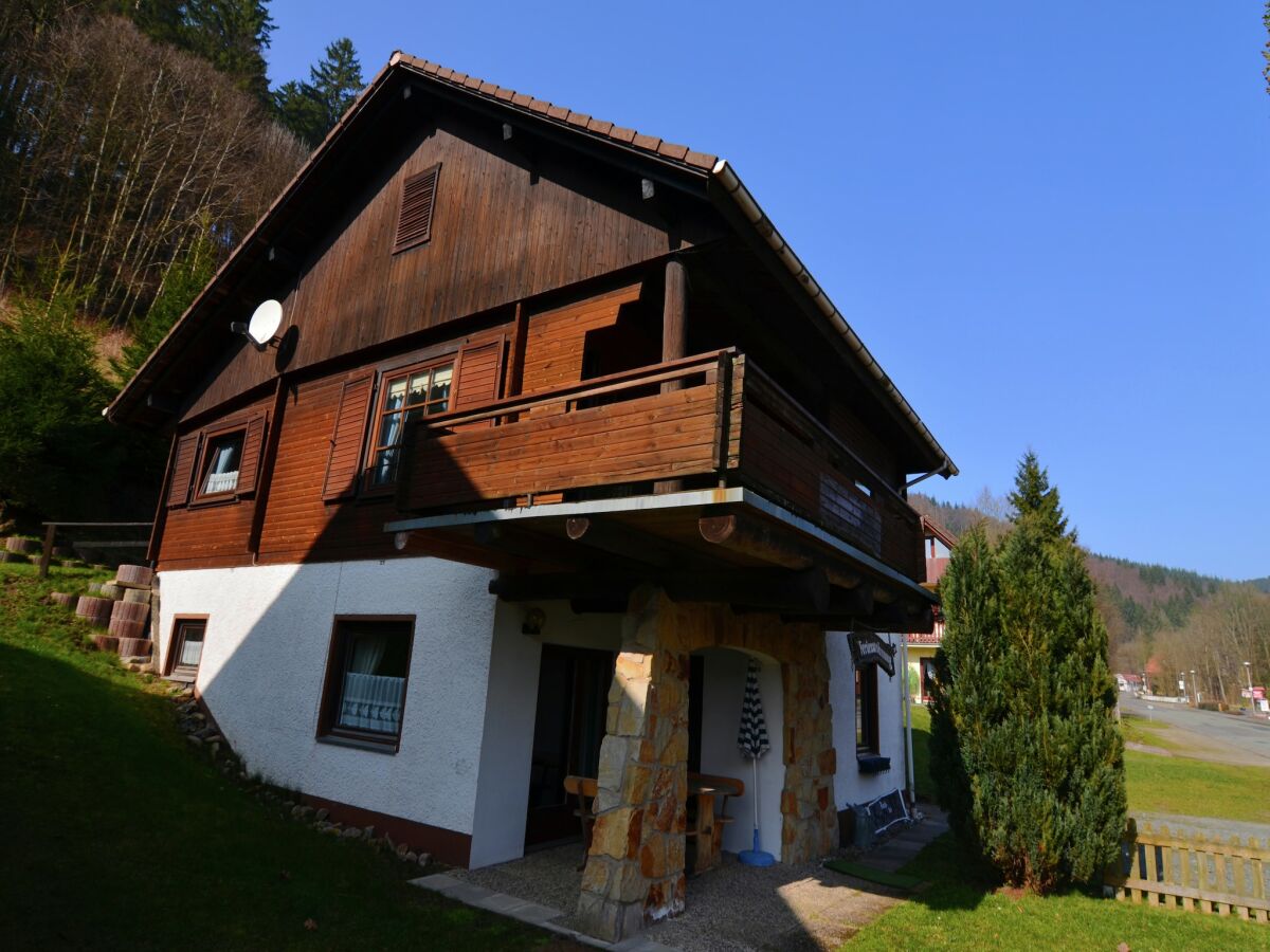 Apartment Ferienwohnung in Kamschlacken - Outdoor photo 2