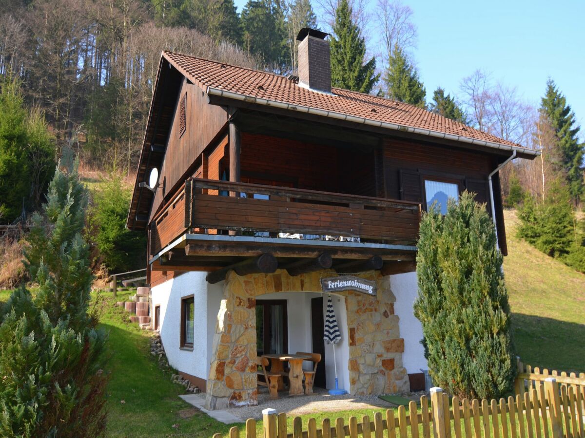 Apartment Ferienwohnung in Kamschlacken - Outdoor photo 2