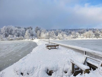 Holiday house Ferienhaus, Wernigerode - Environment photo 28
