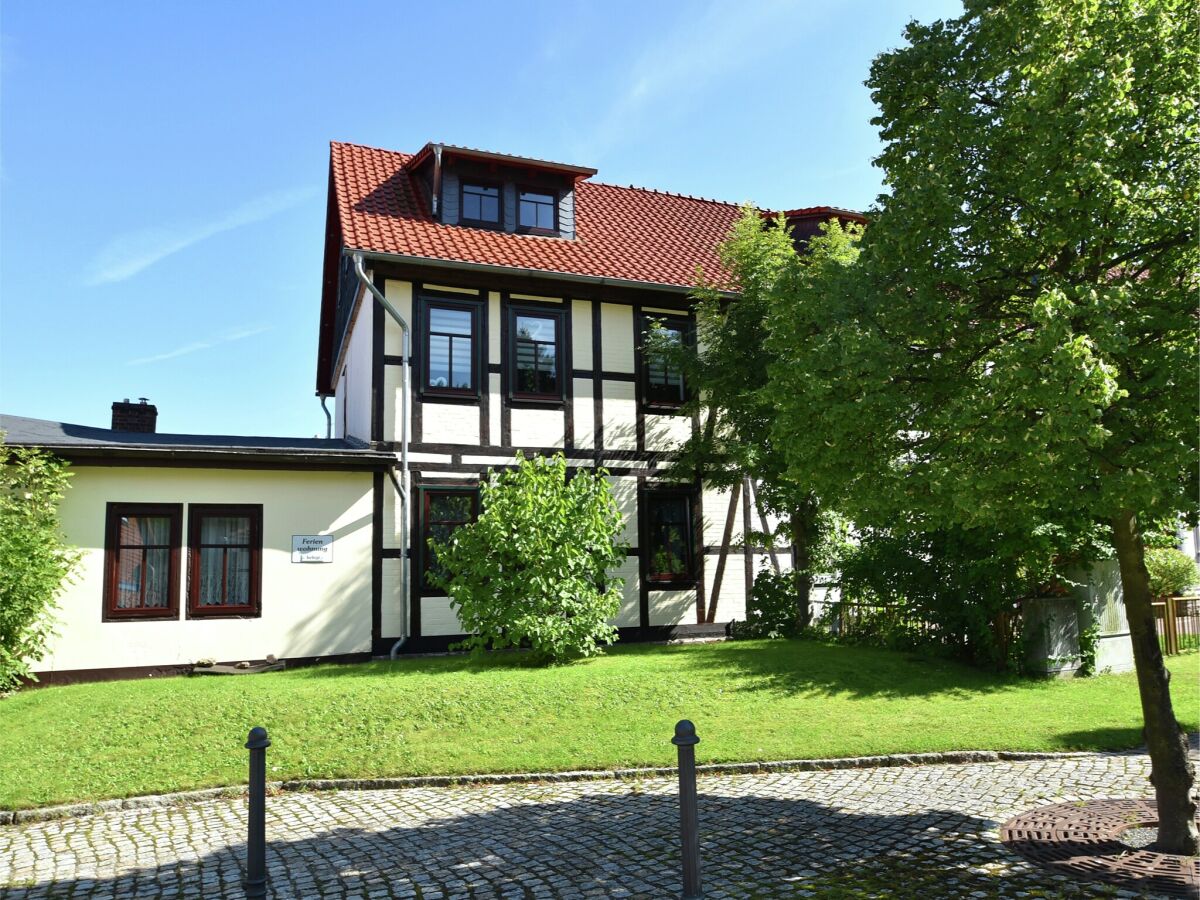 Holiday house Familienspaß & Waldwege in Ilsenburg - Outdoor photo 3