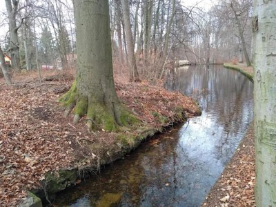 Holiday house Familienspaß & Waldwege in Ilsenburg - Environment photo 24