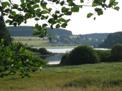Holiday house Ferienhaus mit Wellnessbereich in Elend - Environment photo 29